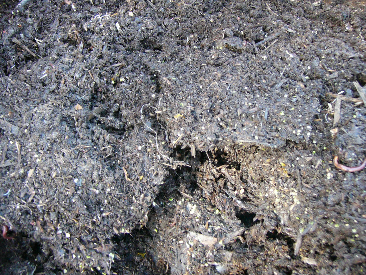 kompost 3